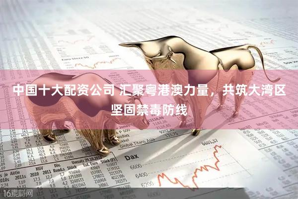 中国十大配资公司 汇聚粤港澳力量，共筑大湾区坚固禁毒防线